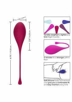 Kegel Training Set Multicolour 